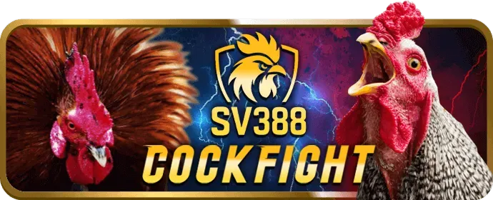 Các chương trình khuyến mãi i9bet code hấp dẫn